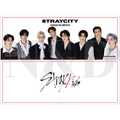 Mini Banner Fanmade Stray Kids | Sencillo y Holográfico | 12x5 cm | Paquete 50 o 100 piezas