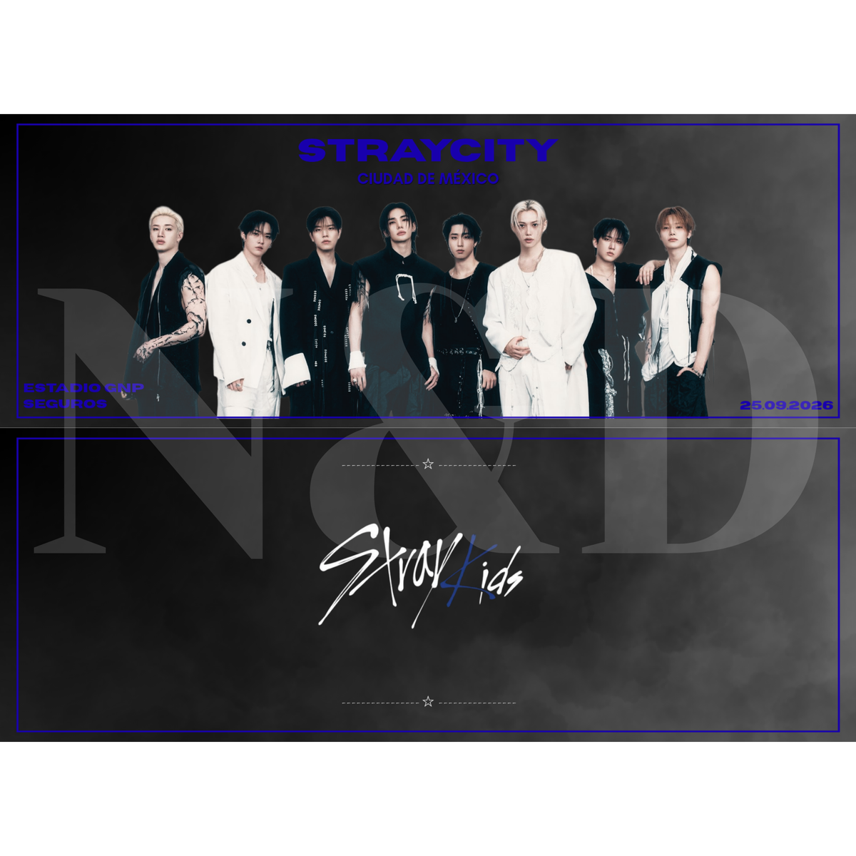 Mini Banner Fanmade Stray Kids | Sencillo y Holográfico | 12x5 cm | Paquete 50 o 100 piezas