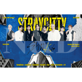 Banner Fanmade Stray Kids | Sencillo y Holográfico | 20x6.5 cm | Paquete 50 o 100 piezas