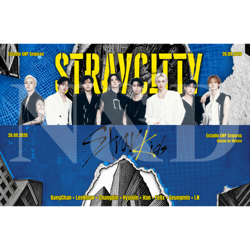 Banner Fanmade Stray Kids | Sencillo y Holográfico | 20x6.5 cm | Paquete 50 o 100 piezas